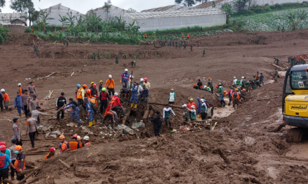 Jejak Kentang Cs Dan Krisis Lingkungan, Longsor Kian Marak?