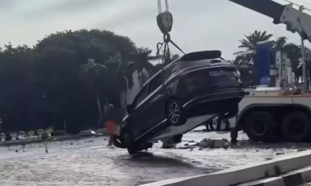 Insiden BYD M6 Di Bundaran HI, Benarkah Karena Error Sistem?