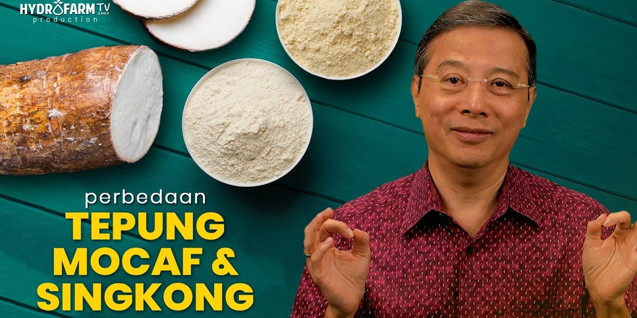 Tepung Mocaf Untuk Diet Diabetes: Tips Pengolahan Yang Tepat