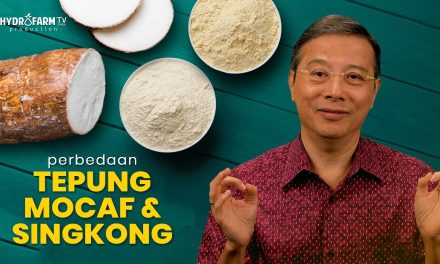 Tepung Mocaf Untuk Diet Diabetes: Tips Pengolahan Yang Tepat