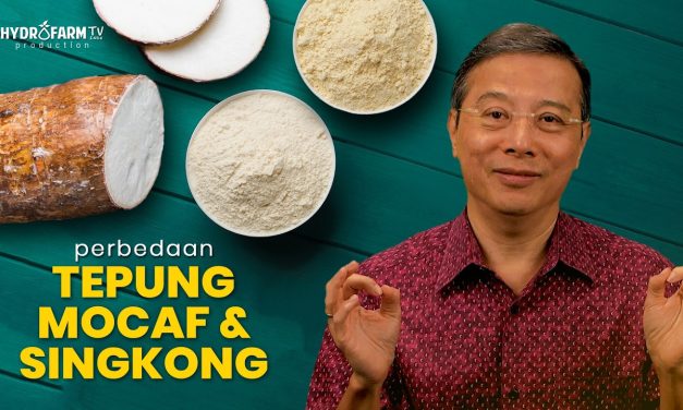 Tepung Mocaf Untuk Diet Diabetes: Tips Pengolahan Yang Tepat