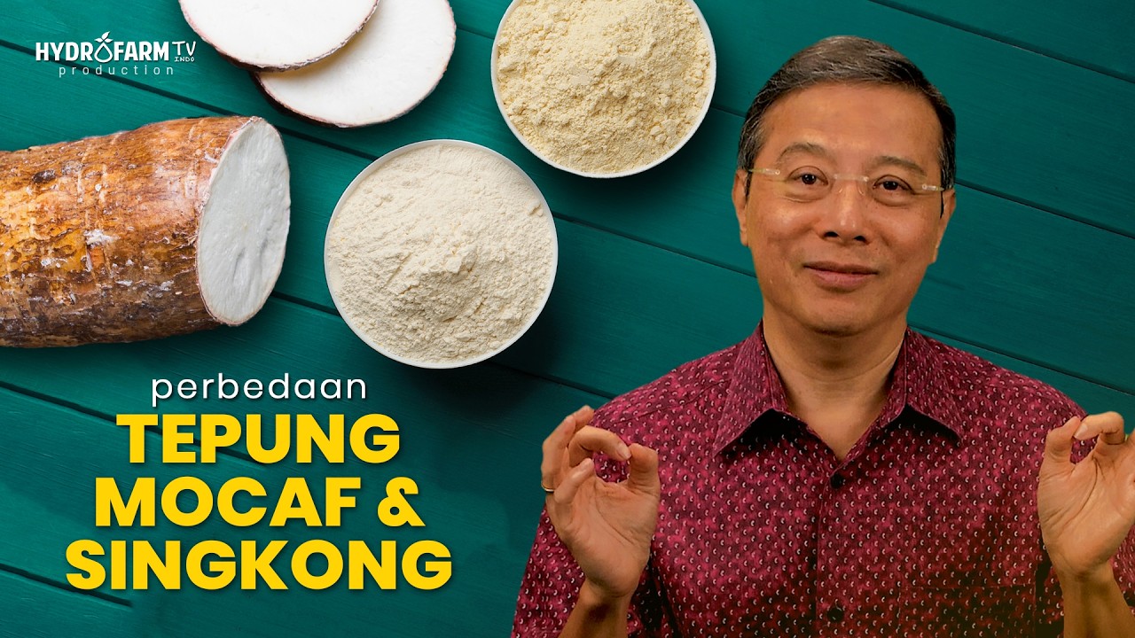Tepung Mocaf Untuk Diet
