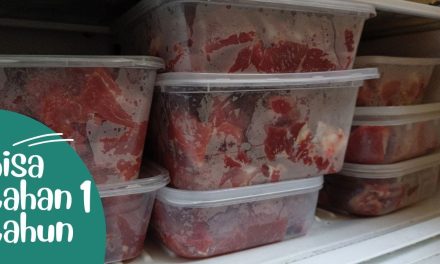 Rahasia Menyimpan Daging Di Kulkas 1 Pintu, Bisa Tahan Lama