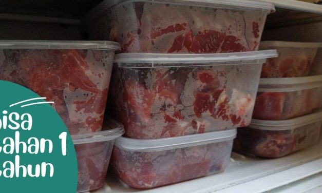 Rahasia Menyimpan Daging Di Kulkas 1 Pintu, Bisa Tahan Lama