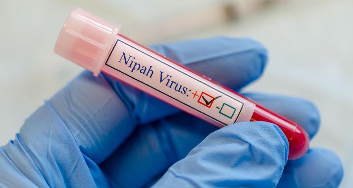 Kasus Meninggal Virus Nipah Di Bangladesh Di Laporkan WHO