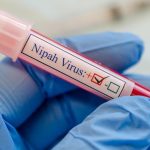 Kasus Meninggal Virus Nipah Di Bangladesh Di Laporkan WHO