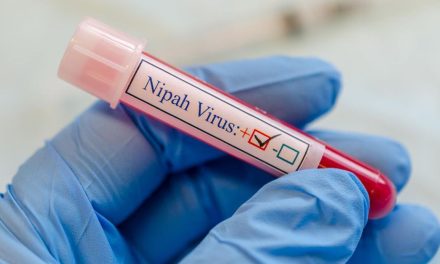 Kasus Meninggal Virus Nipah Di Bangladesh Di Laporkan WHO