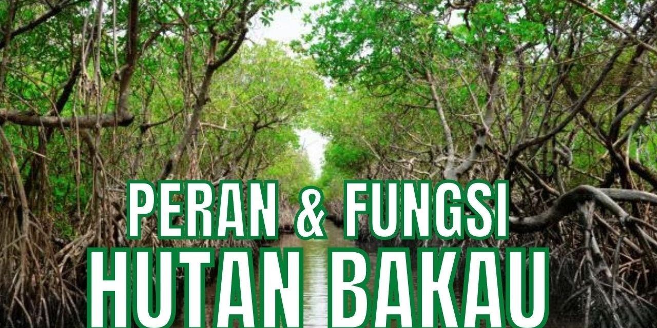 Pelestarian Hutan Bakau Menjaga Keseimbangan Lingkungan