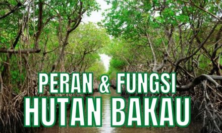 Pelestarian Hutan Bakau Menjaga Keseimbangan Lingkungan
