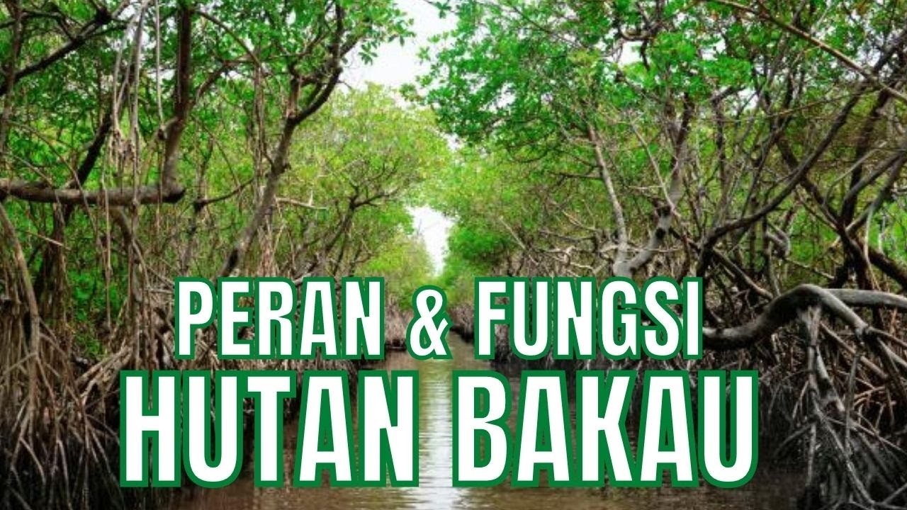 Pelestarian Hutan Bakau