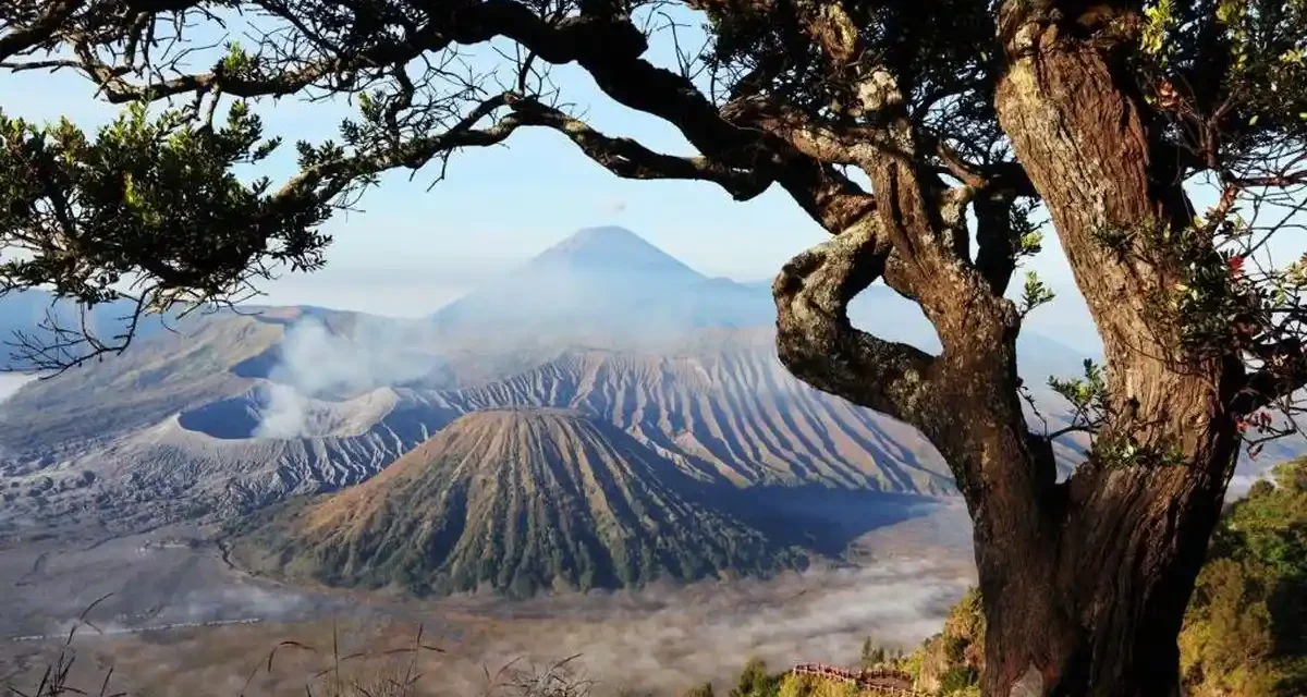 Gunung Bromo Menjadi Destinasi Favorit Bagi Pecinta Alam