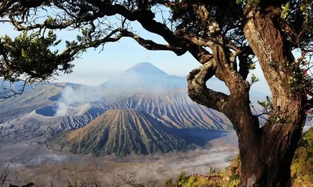 Gunung Bromo Menjadi Destinasi Favorit Bagi Pecinta Alam