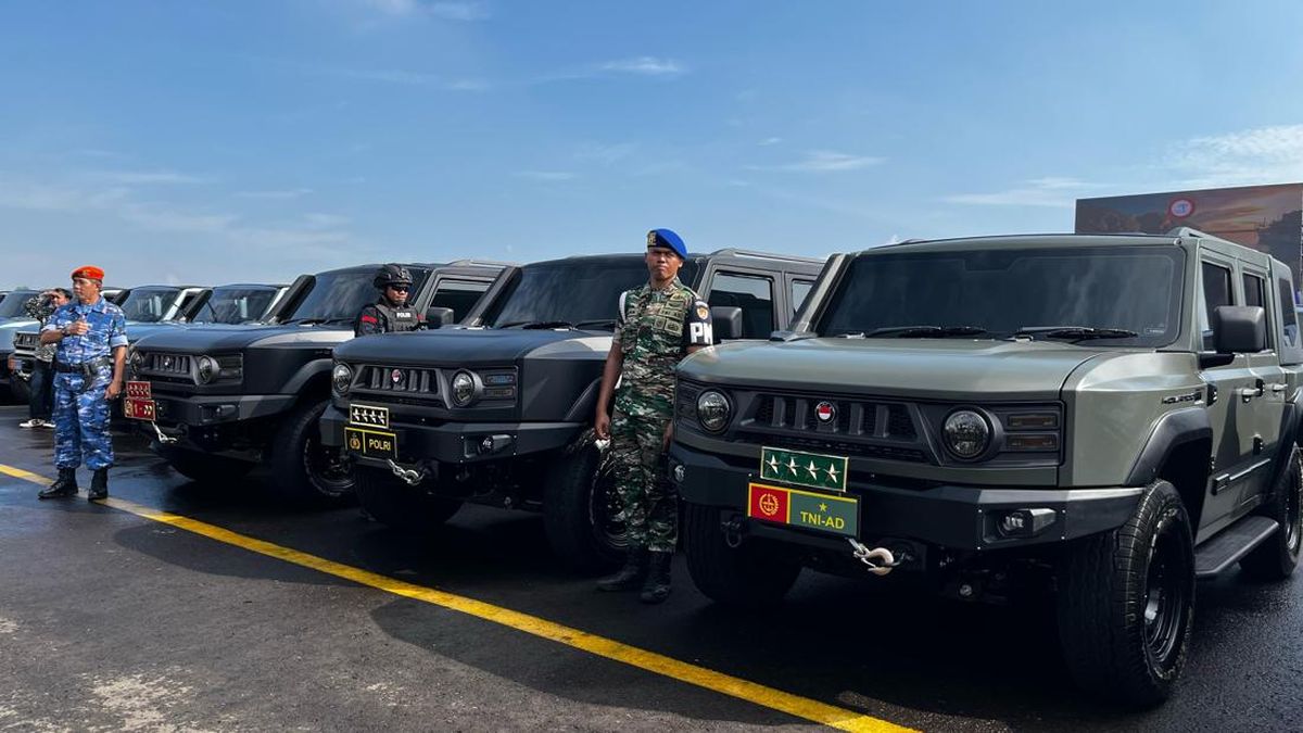 MV3 EV