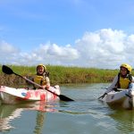 Mengulik Kawasan Ekowisata Mangrove Di Pantai Baros